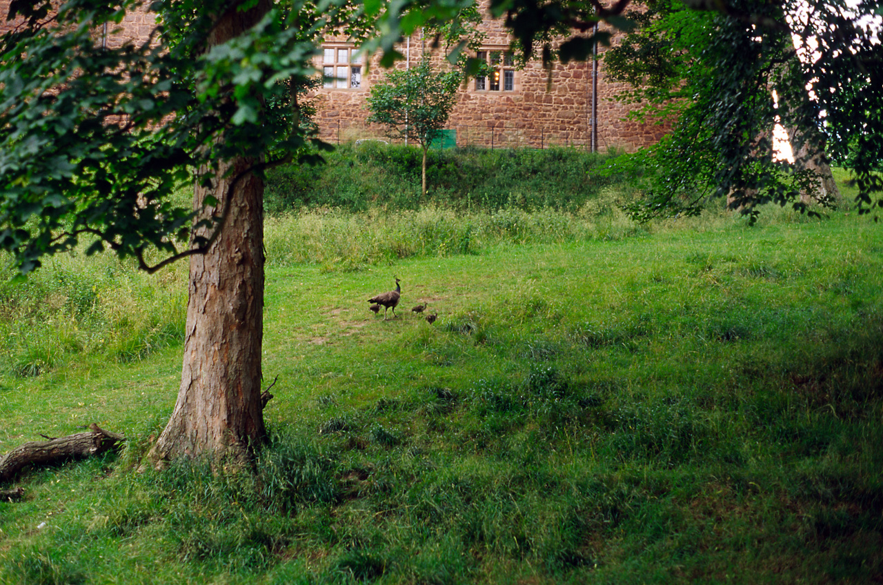 05-08-10, 250, Castle, Wales - UK