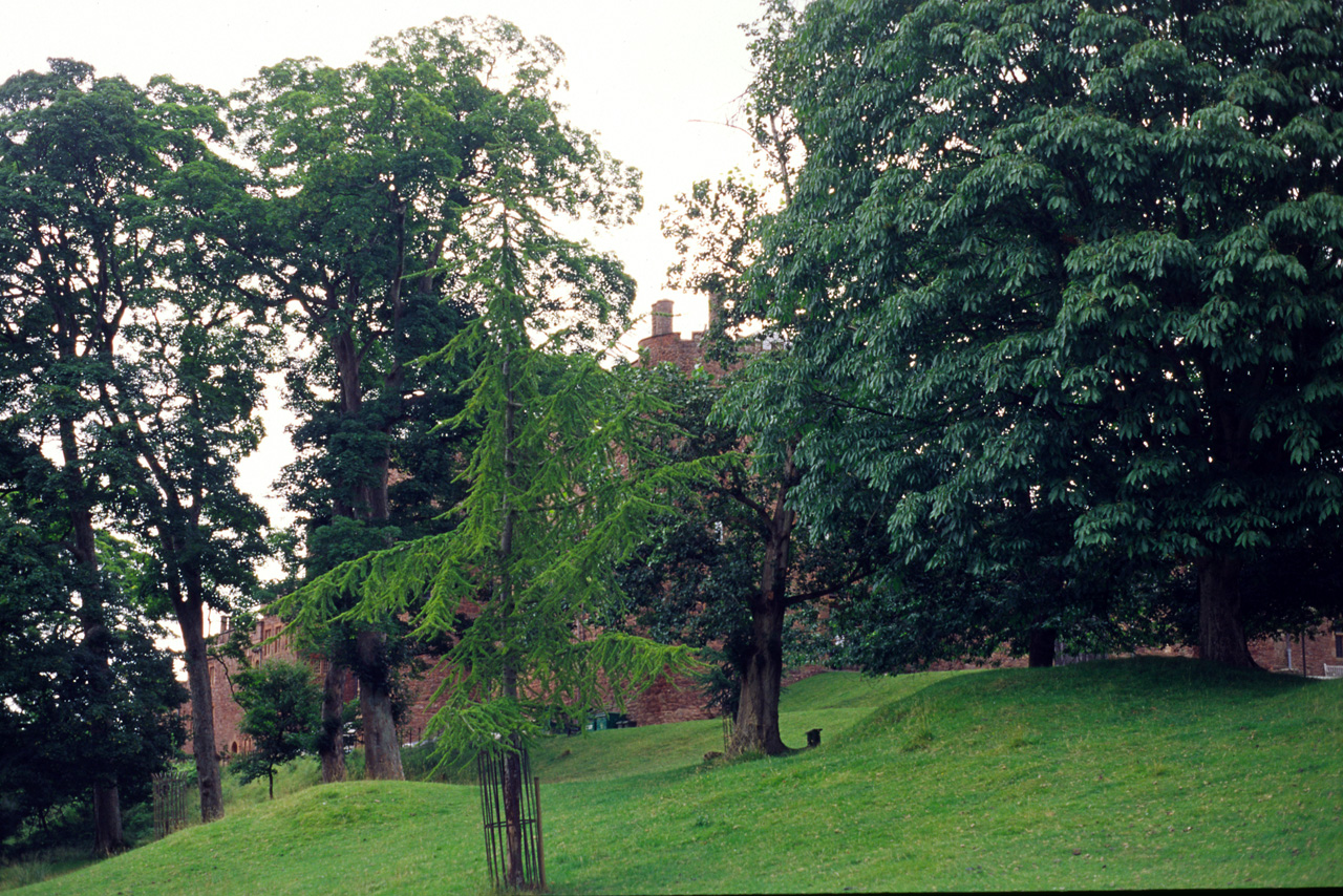 05-08-10, 251, Castle, Wales - UK