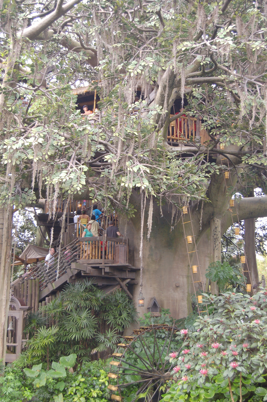 07-02-27, 041, Tree House in AdventureLand, DisneyWorld, FL