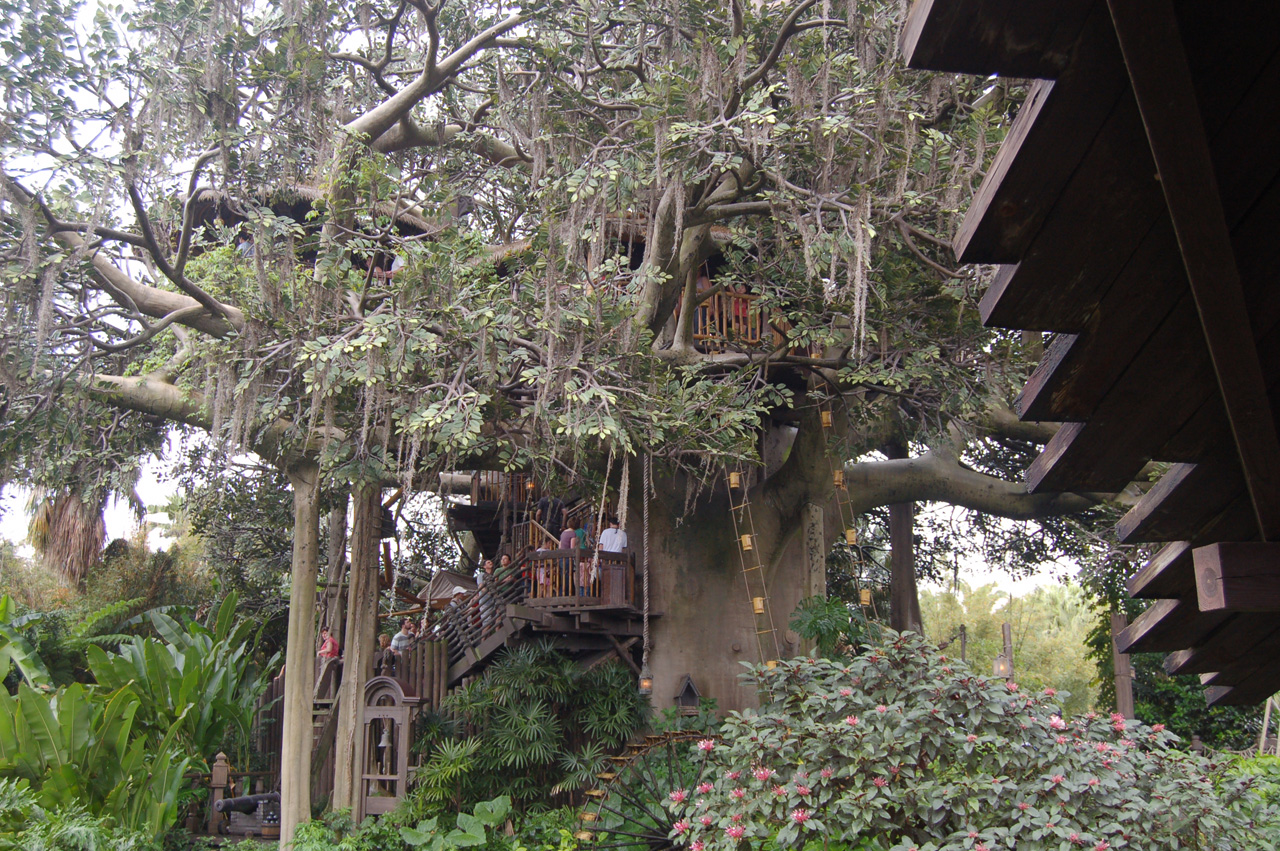 07-02-27, 042, Tree House in AdventureLand, DisneyWorld, FL