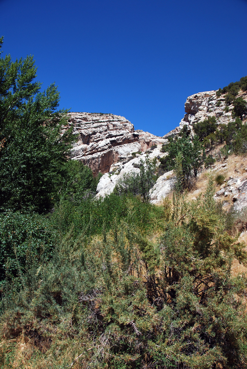 07-08-15, 132, Dinosaur National Monument, Utah