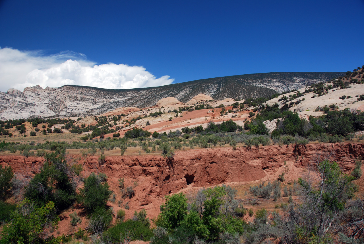 07-08-15, 133, Dinosaur National Monument, Utah