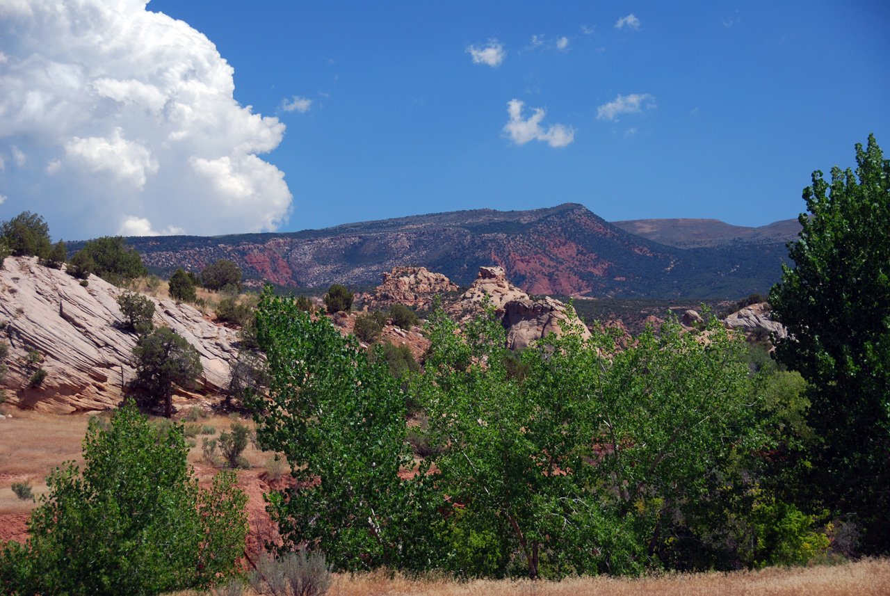 07-08-15, 135, Dinosaur National Monument, Utah