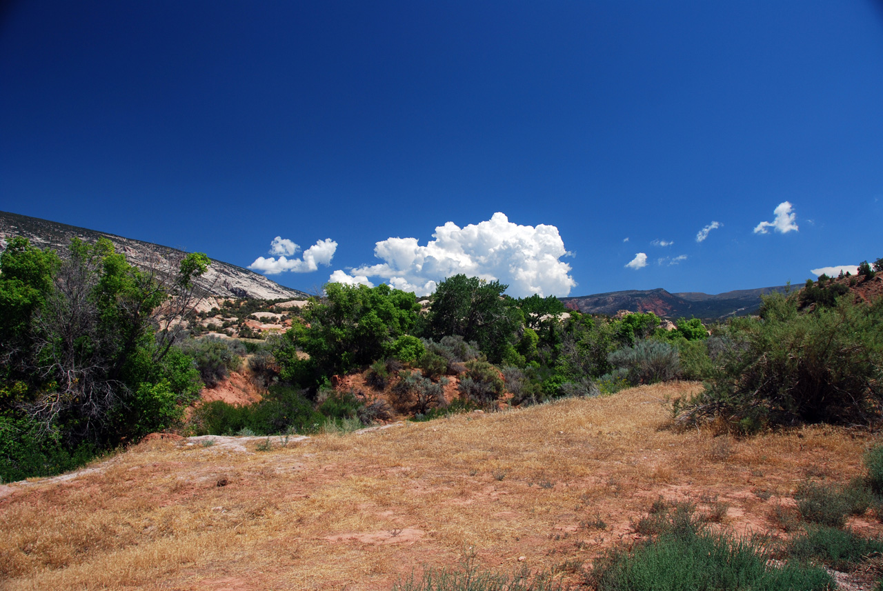 07-08-15, 139, Dinosaur National Monument, Utah