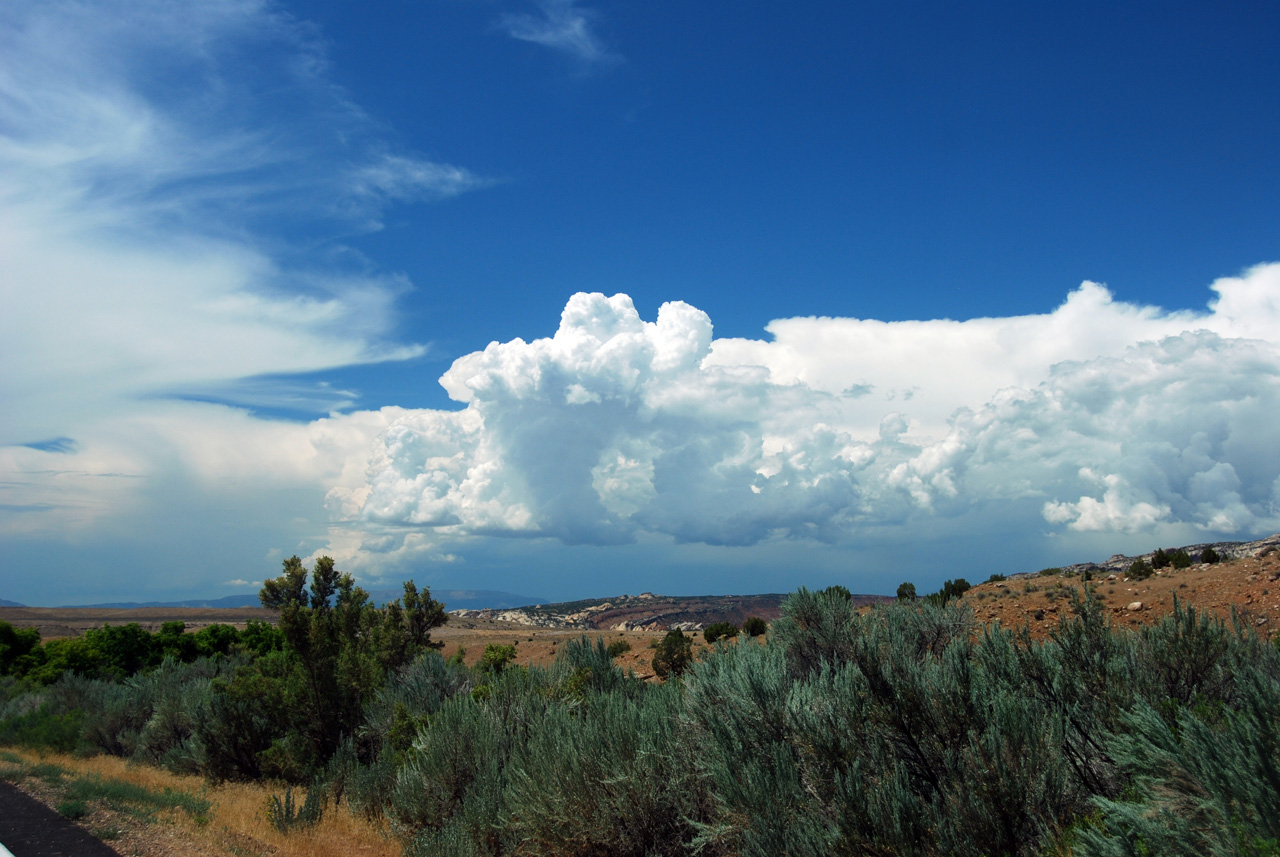 07-08-15, 141, Along Rt 139 in Colorado