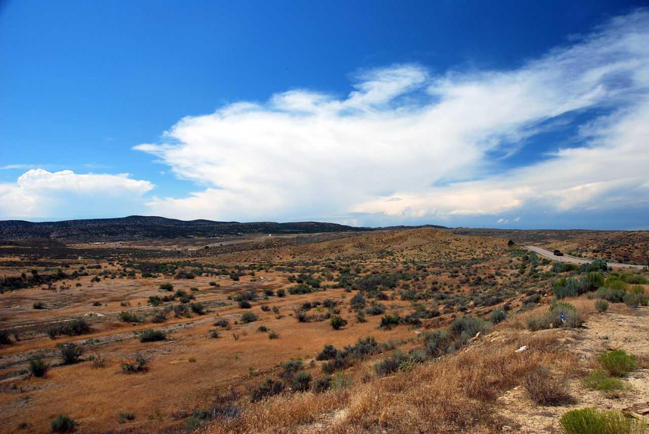 07-08-15, 147, Along Rt 139 in Colorado