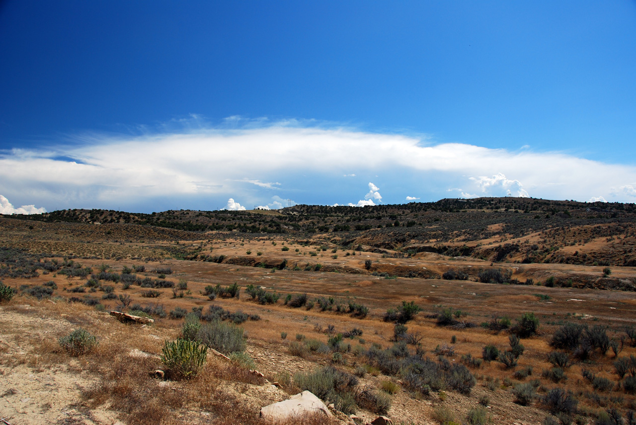 07-08-15, 148, Along Rt 139 in Colorado