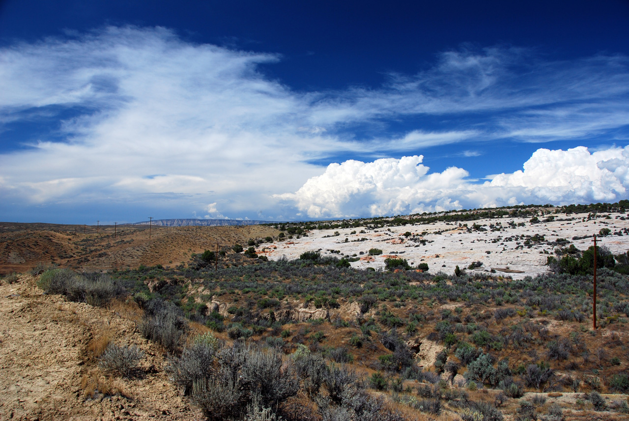 07-08-15, 150, Along Rt 139 in Colorado