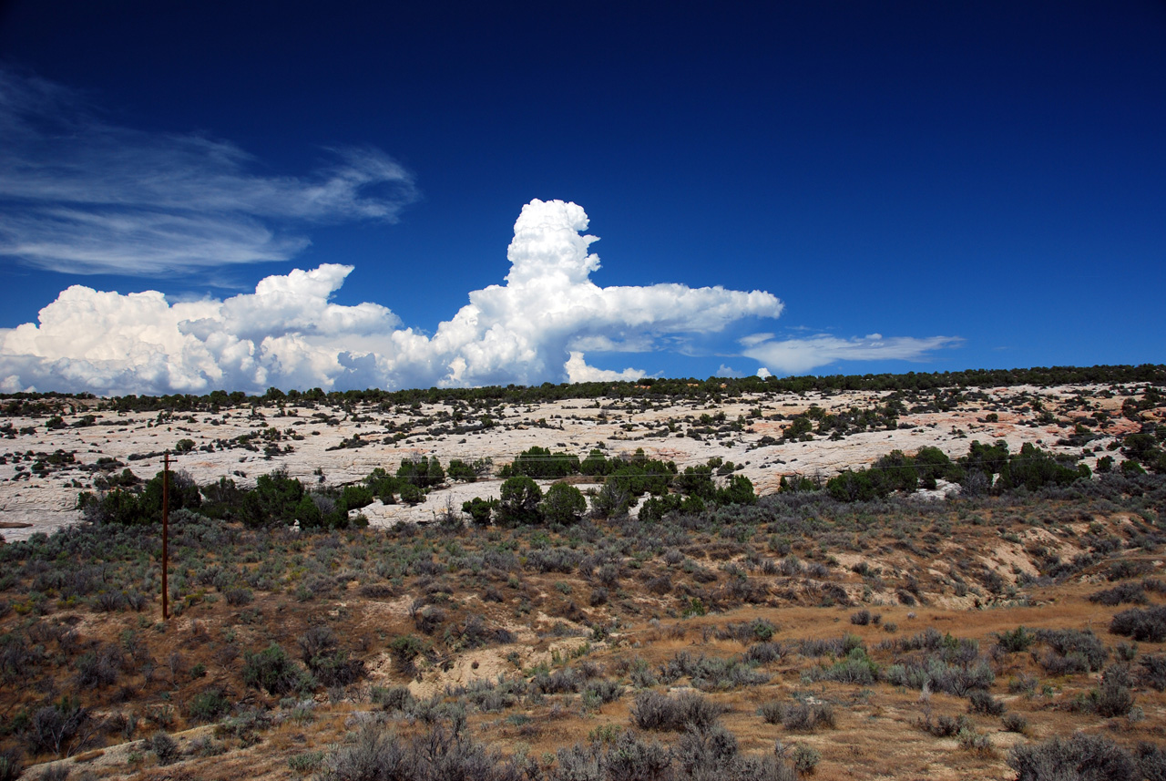 07-08-15, 151, Along Rt 139 in Colorado