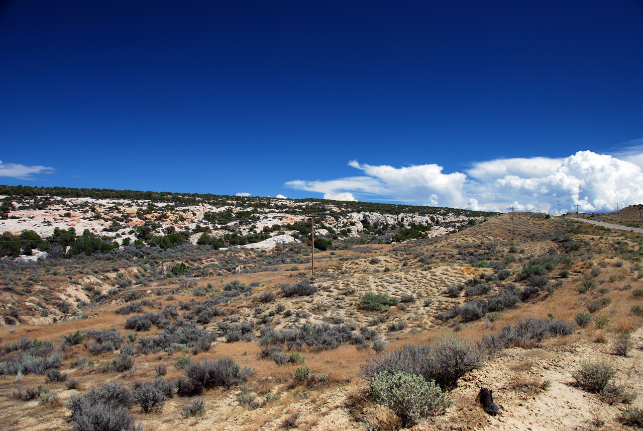 07-08-15, 152, Along Rt 139 in Colorado