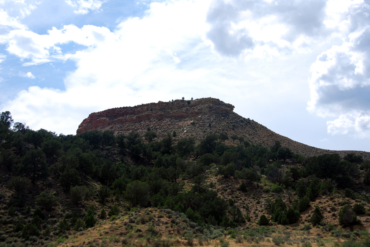 07-08-15, 158, Along Rt 139 in Colorado