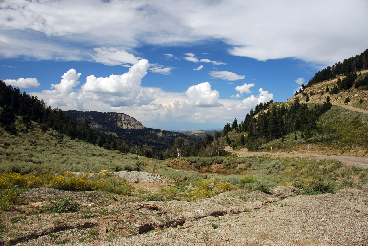 07-08-15, 164, Along Rt 139 in Colorado