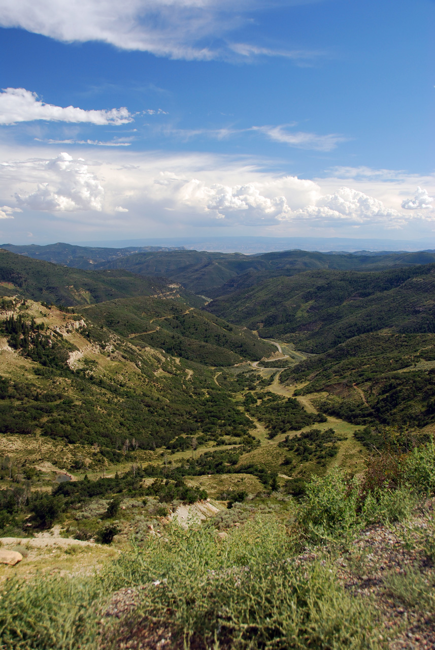 07-08-15, 166, Along Rt 139 in Colorado