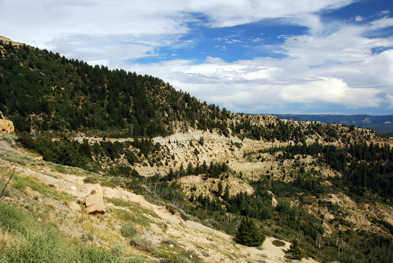 07-08-15, 167, Along Rt 139 in Colorado