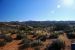 07-08-16, 029, Arches National Park, Utah