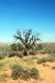 07-08-16, 146, Arches National Park, Utah