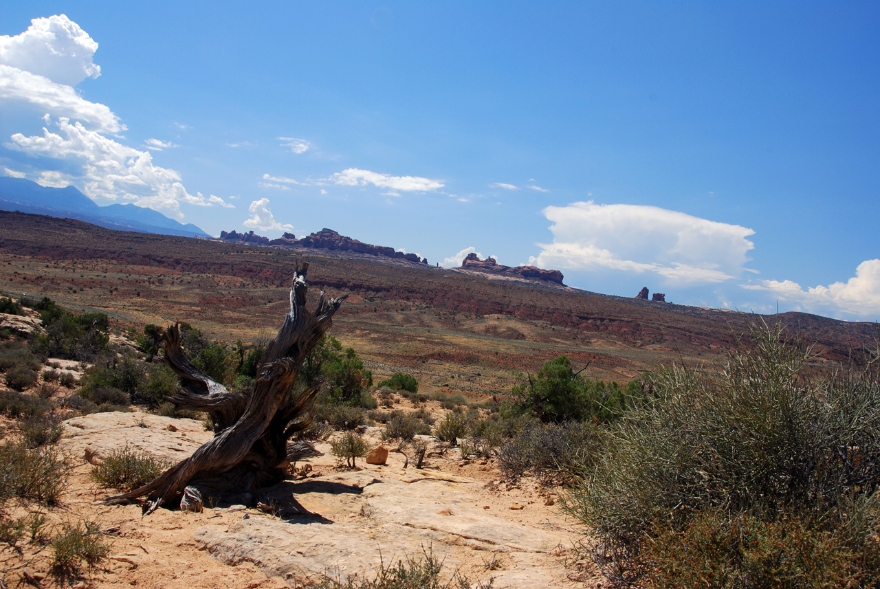 07-08-16, 237, Arches National Park, Utah