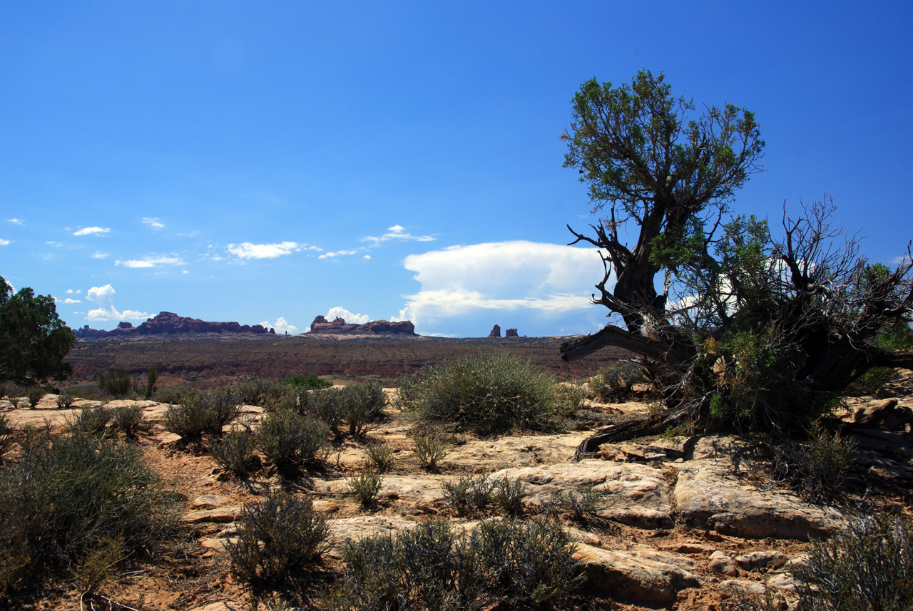 07-08-16, 241, Arches National Park, Utah