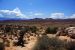 07-08-16, 225, Arches National Park, Utah