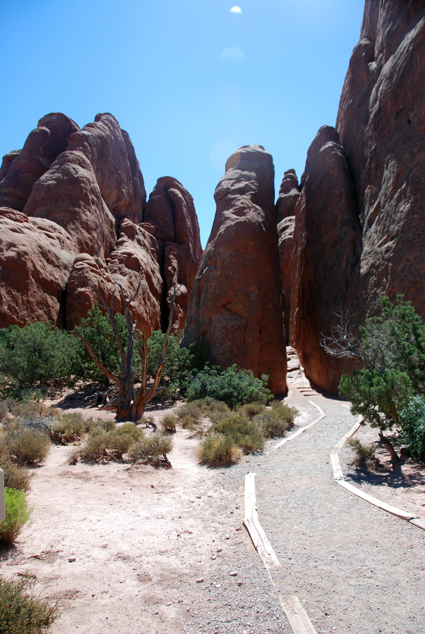 07-08-16, 261, Arches National Park, Utah