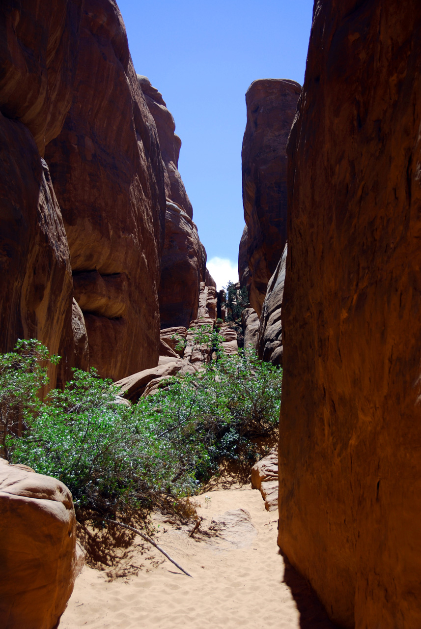 07-08-16, 274, Arches National Park, Utah