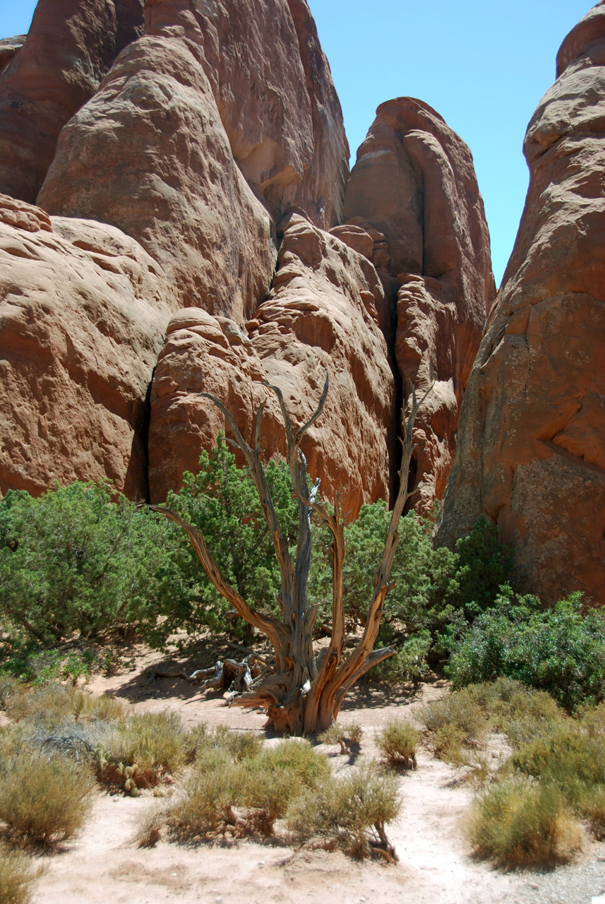 07-08-16, 279, Arches National Park, Utah