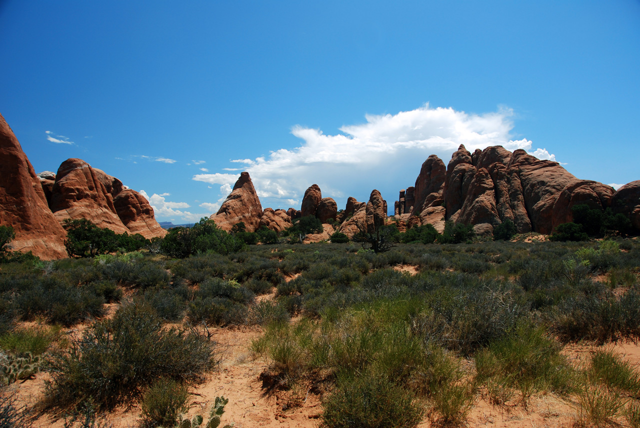 07-08-16, 298, Arches National Park, Utah