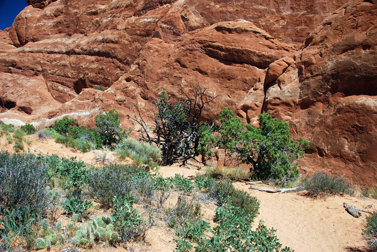 07-08-16, 299, Arches National Park, Utah