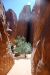 07-08-16, 263, Arches National Park, Utah