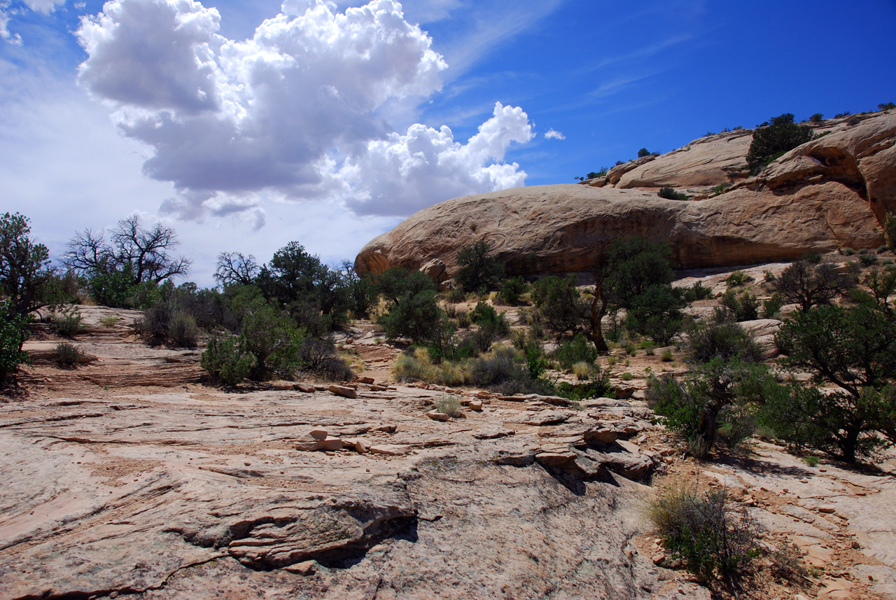 07-08-16, 325, Along Rt 313 in Utah