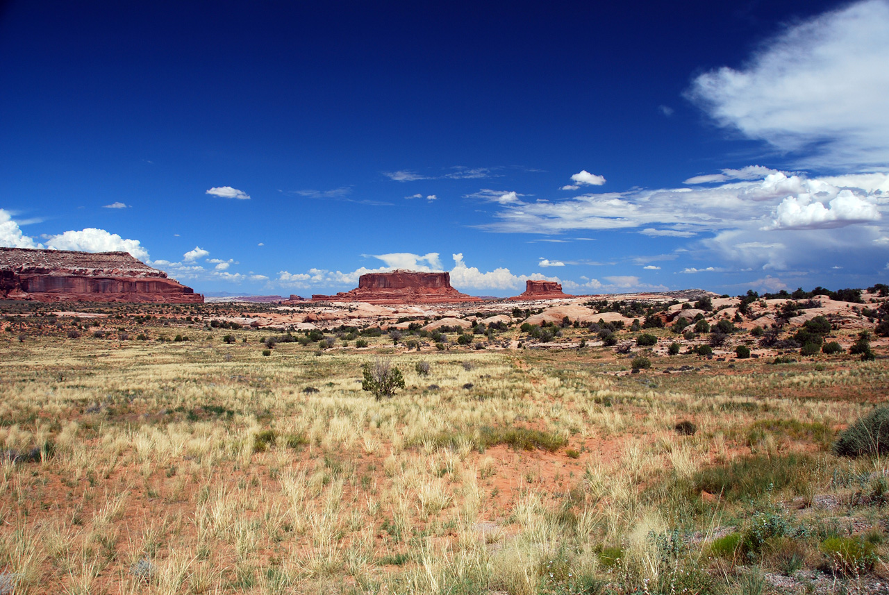 07-08-16, 327, Along Rt 313 in Utah