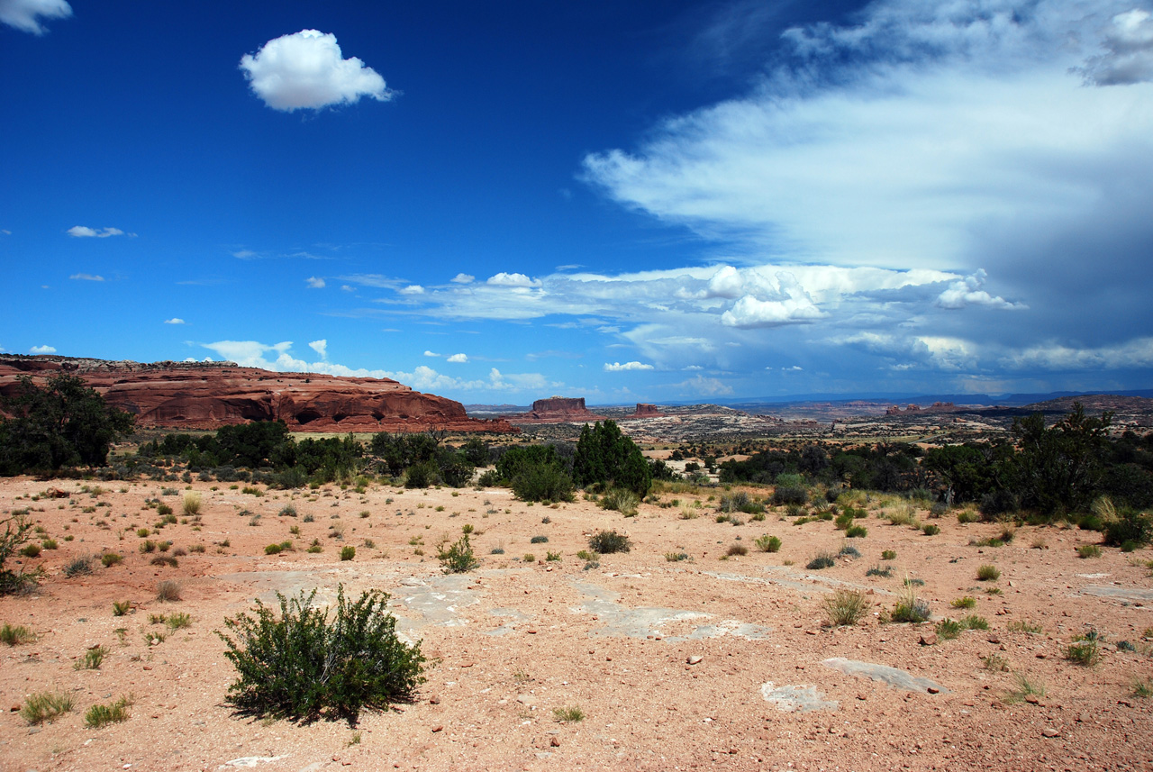 07-08-16, 330, Along Rt 313 in Utah