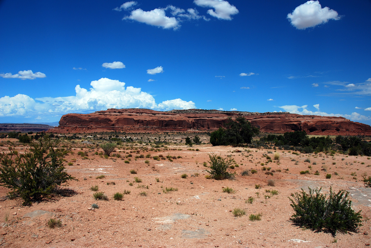 07-08-16, 331, Along Rt 313 in Utah