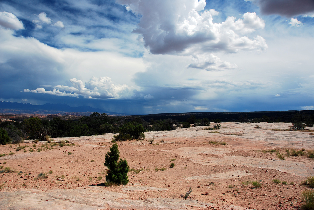 07-08-16, 333, Along Rt 313 in Utah