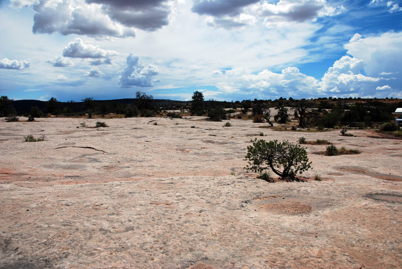 07-08-16, 335, Along Rt 313 in Utah