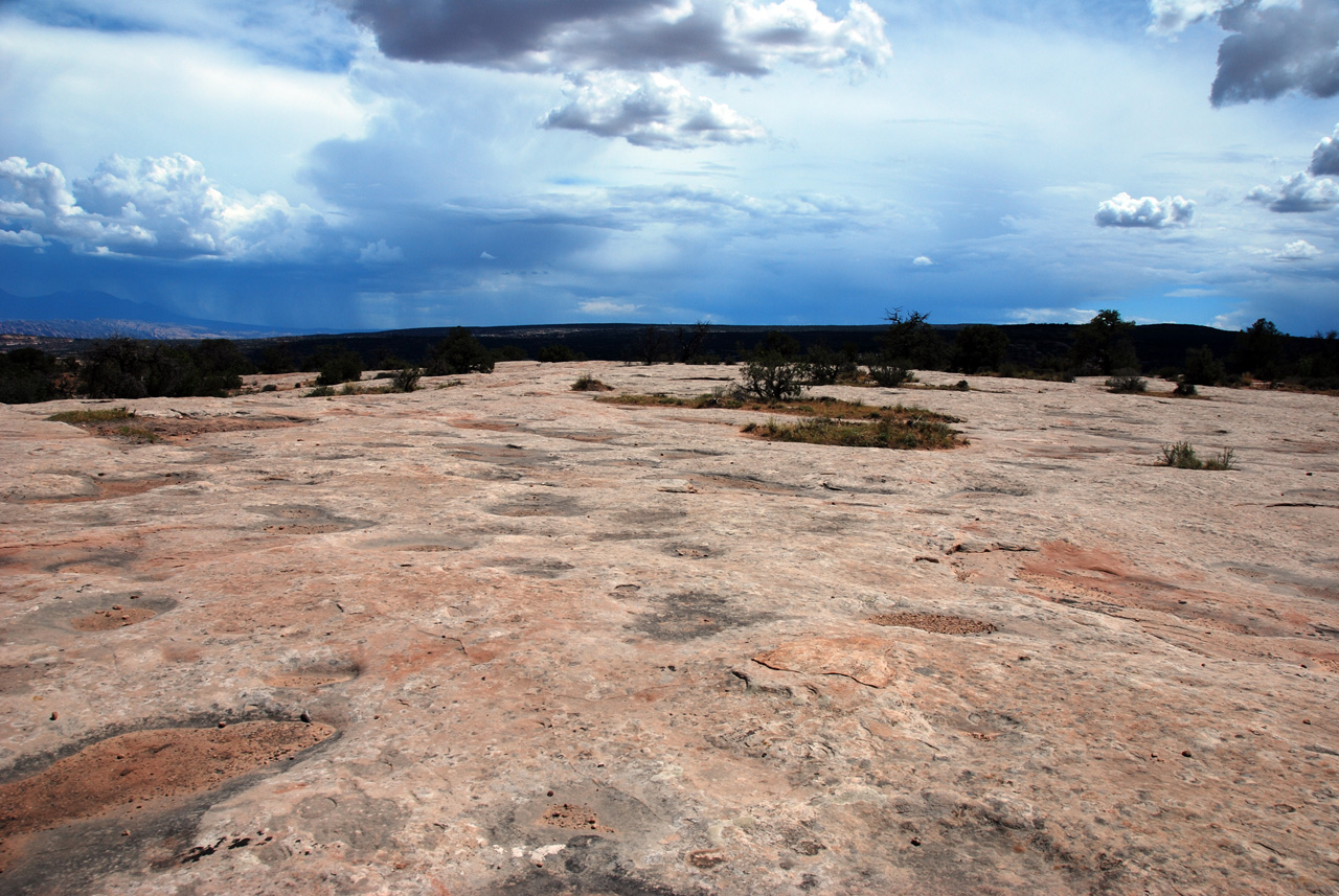 07-08-16, 336, Along Rt 313 in Utah