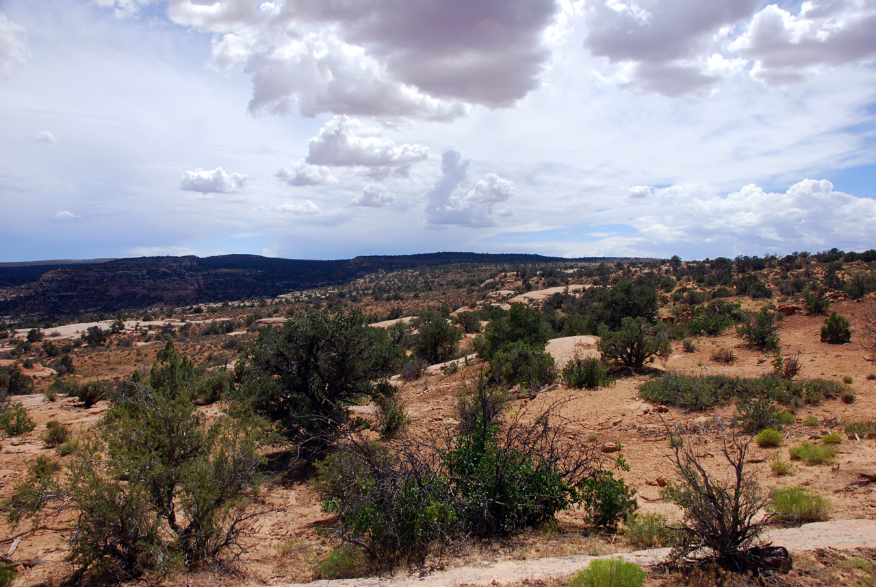 07-08-16, 337, Along Rt 313 in Utah