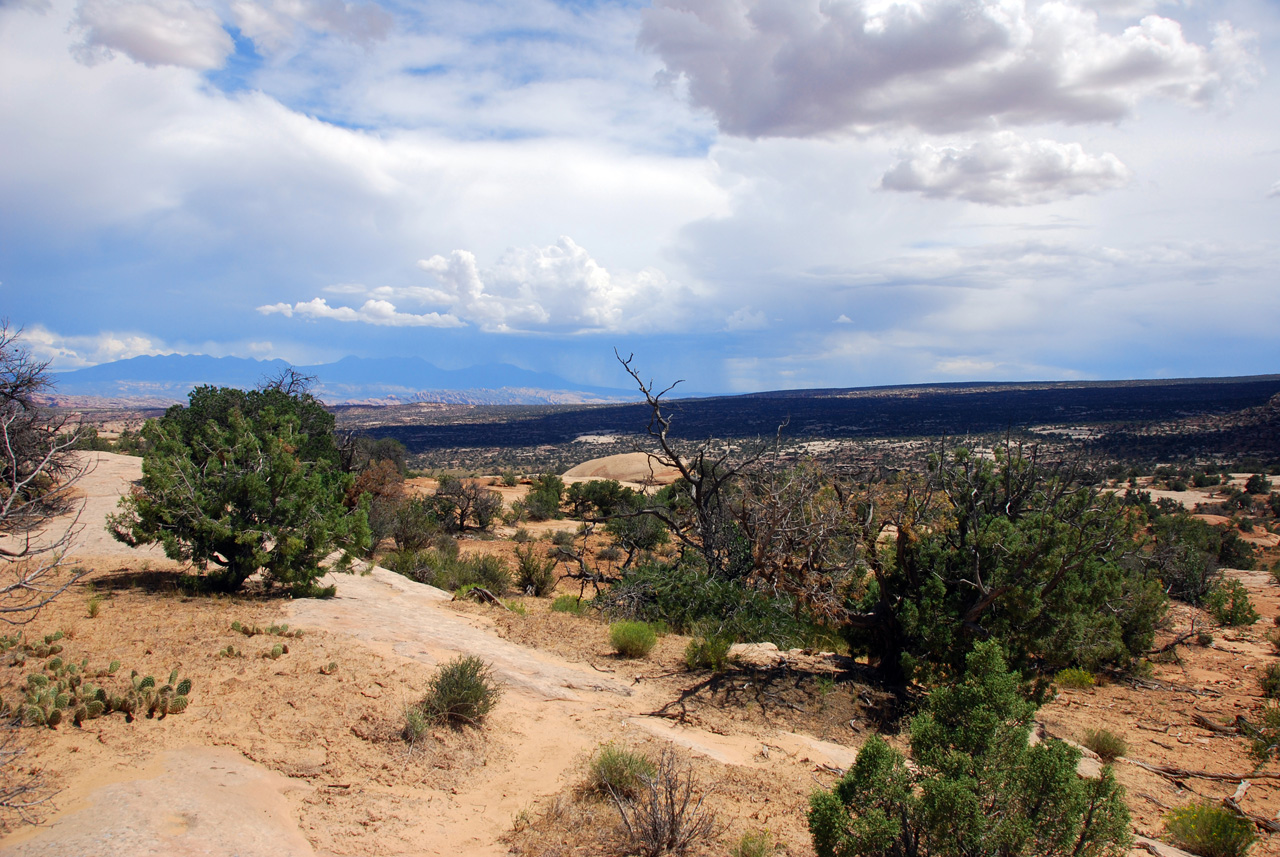 07-08-16, 338, Along Rt 313 in Utah