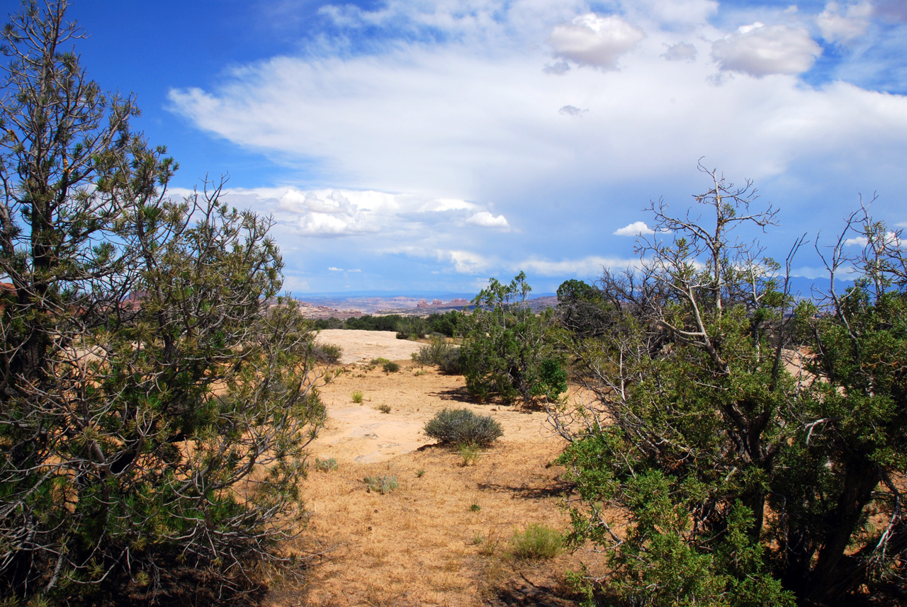 07-08-16, 339, Along Rt 313 in Utah