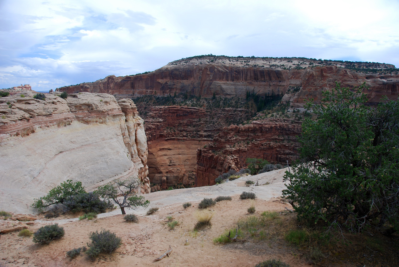 07-08-16, 352, Canyonlands National Park, Utah