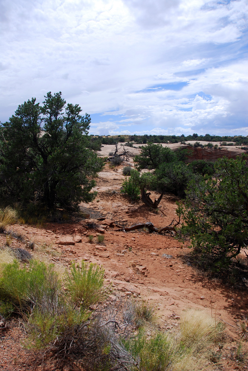 07-08-16, 374, Canyonlands National Park, Utah