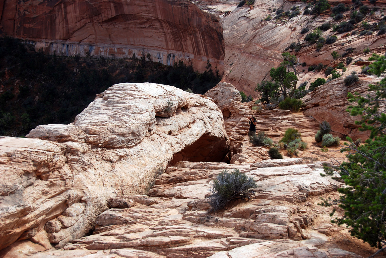 07-08-16, 392, Canyonlands National Park, Utah