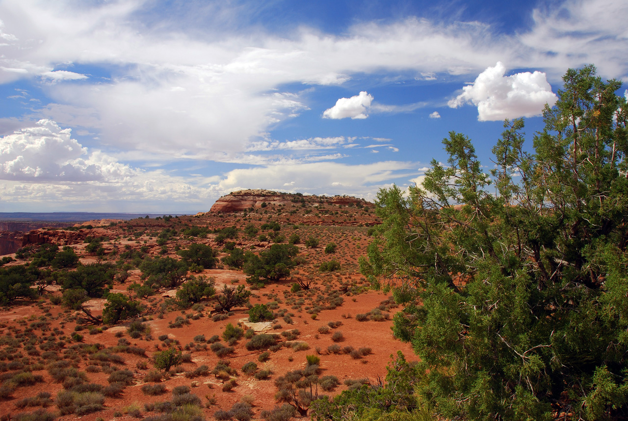 07-08-16, 414, Canyonlands National Park, Utah