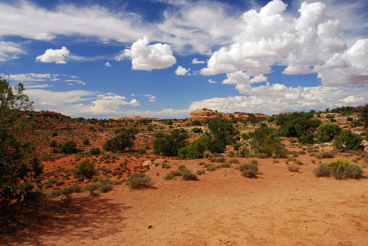 07-08-16, 416, Canyonlands National Park, Utah