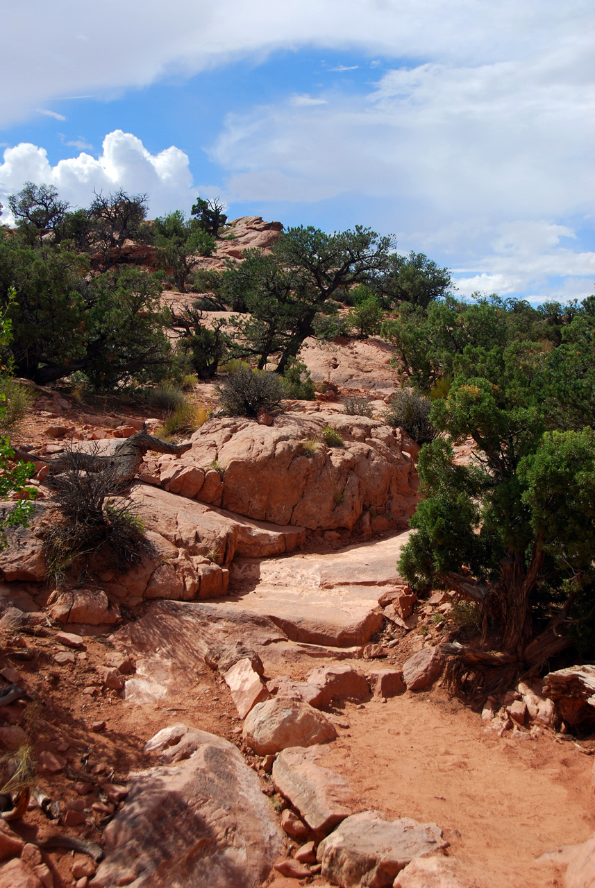 07-08-16, 418, Canyonlands National Park, Utah