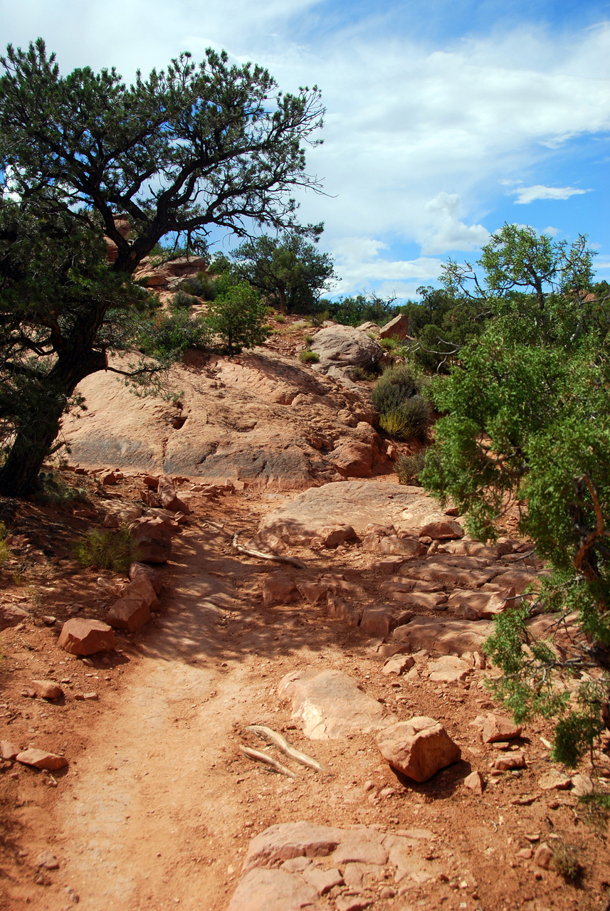 07-08-16, 422, Canyonlands National Park, Utah