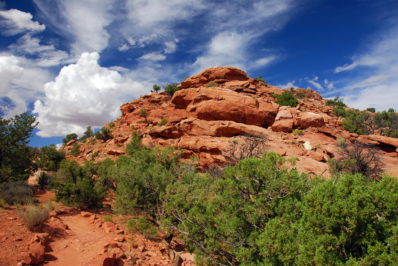 07-08-16, 423, Canyonlands National Park, Utah