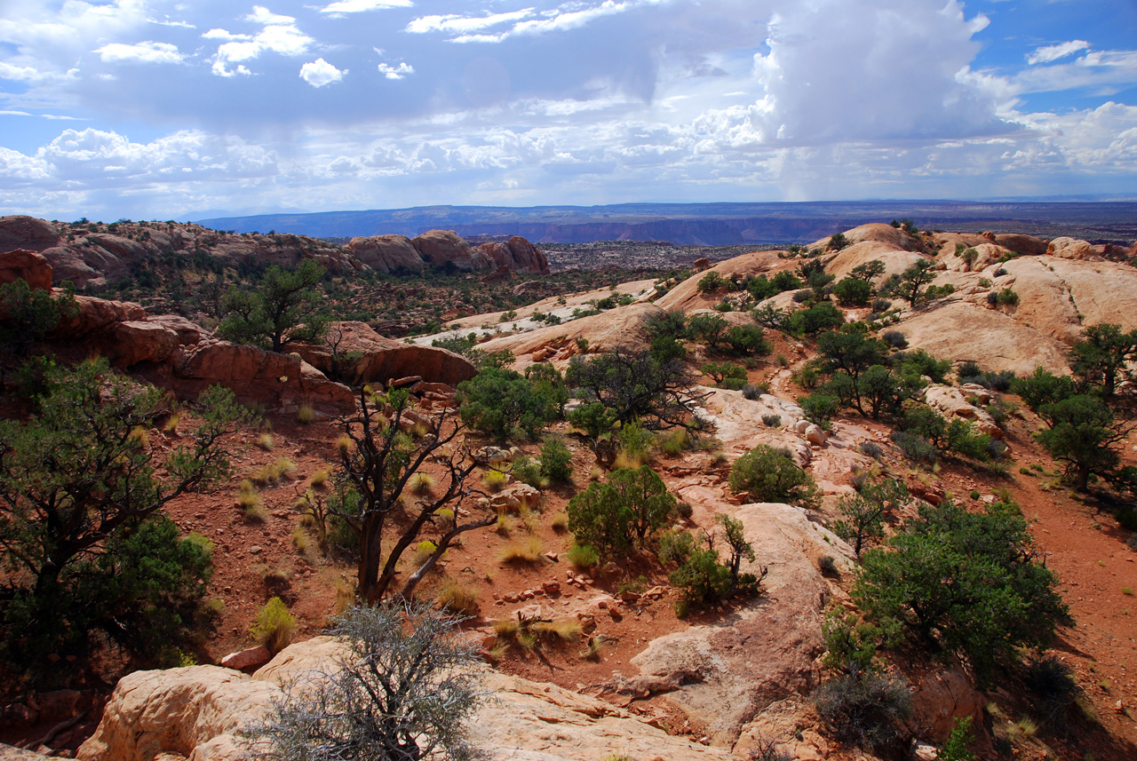 07-08-16, 434, Canyonlands National Park, Utah