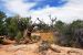 07-08-16, 397, Canyonlands National Park, Utah