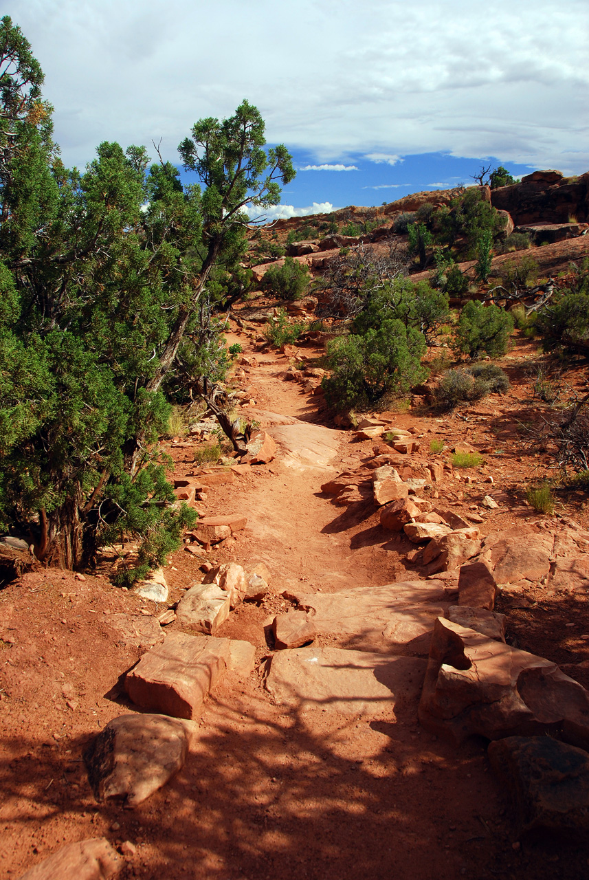 07-08-16, 438, Canyonlands National Park, Utah